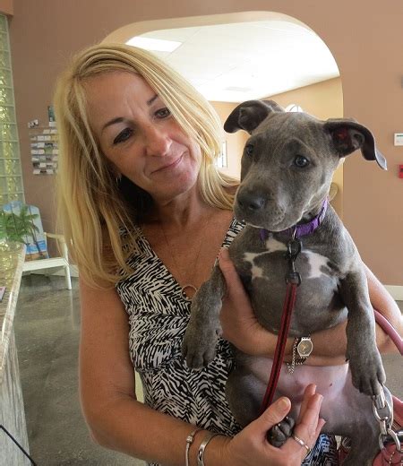 Pet medical center and spa, fresno, ca. Dunedin Animal Medical Center & Pet Resort - 727 ADS