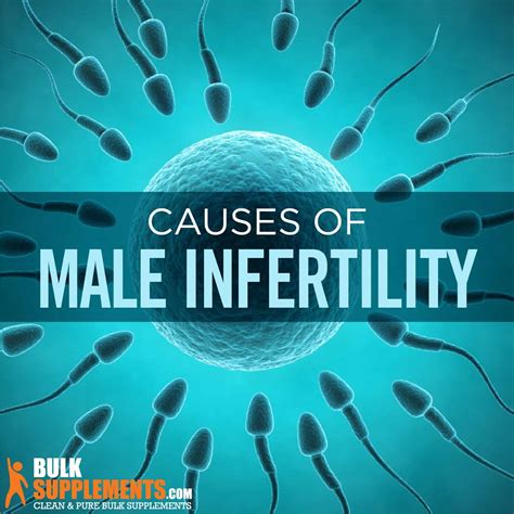Male Infertility Signs Causes And Treatment By James Denlinger