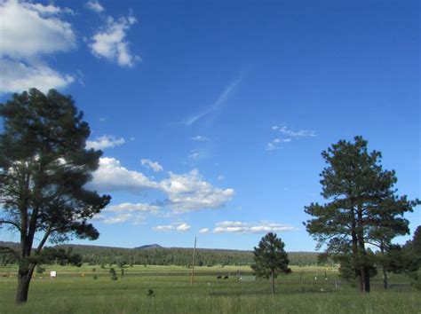 We did not find results for: Alpine AZ Land & Lots For Sale - 46 Listings | Zillow