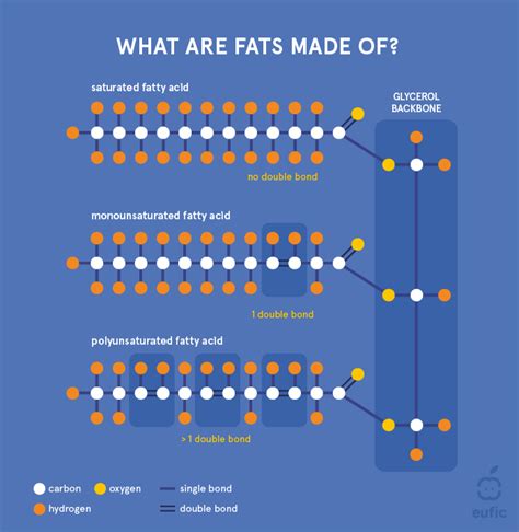 Facts About Fats Eufic