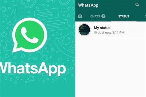 Cara Melihat Berapa Kali Status Story Whatsapp Wa Diputar Viral Di