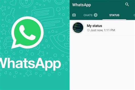 CARA Melihat Berapa Kali Status Story WhatsApp WA Diputar Viral Di