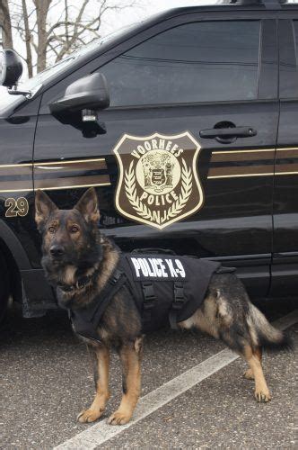 Voorhees Township Police Department K9s Ruck Maverick And Kane Have