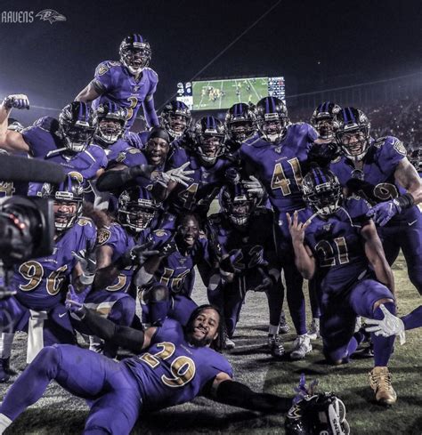 Baltimore Ravens | Ravens football, Baltimore ravens 