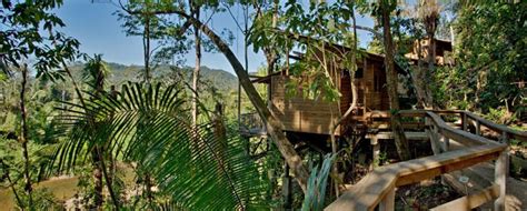 Belize Tree House Riverview 1