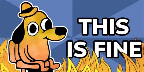 This Is Fine How A Viral Dog Set The Internet On Fire