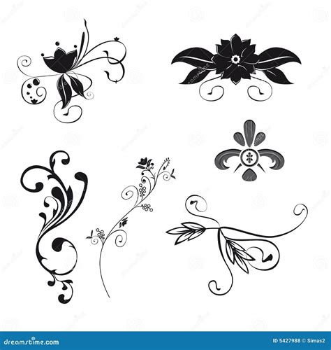 Ornamenti Floreali Vettore Illustrazione Vettoriale Illustrazione
