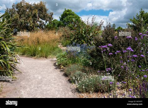 The Dry Garden Hyde Hall Hi Res Stock Photography And Images Alamy