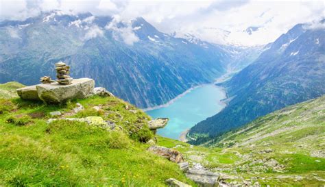 In den slowenischen alpen und im naturpark adamello im trentino, italien, gibt es noch heute braunbären. Für den perfekten Sommerurlaub in den Alpen - Tipps vom ...