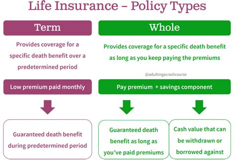The Two Types Of Life Insurance Adulting A Crash Course