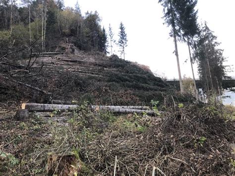 Die quelle befindet sich im bereich der griesbergalm im gemeindegebiet von gries am brenner unterhalb der. Brenner Basistunnel: Sillschlucht wurde gerodet - Innsbruck