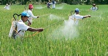 Home / ahli kimia inilah 10 penemuan besar dalam bidang kimia. MATERI PELAJARAN SEKOLAH : PERANAN ILMU KIMIA DALAM BIDANG ...