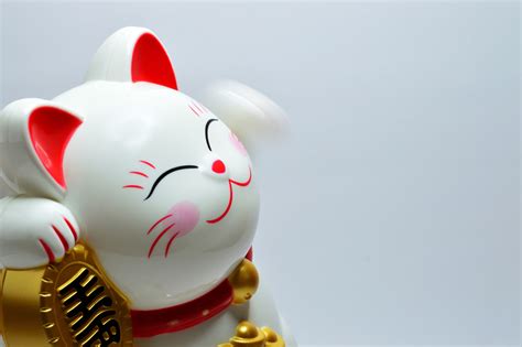 Free Photo Japanese Lucky Coin Cat Animal Outdoors Love Free