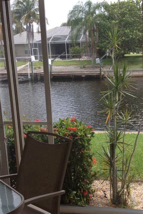 Order painted blossoms bouquet flower arrangement from cape coral floral designs, your local cape coral, fl florist. Cape Coral, FL | Cape coral florida, Cape coral, Tropical ...