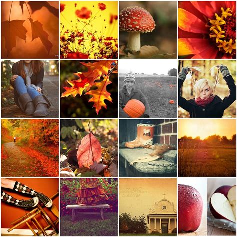 Things I Love Thursday Autumn Love 1 Untitled 2 Lom Flickr