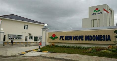 Lowongan kerja pt pertamina bina medika (rs pertamina) agusutus 2021. Lowongan Kerja PT New Hope Indonesia - 4 Posisi