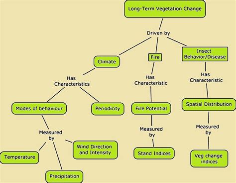 Exploring 10 Educational Concept Map Examples For You