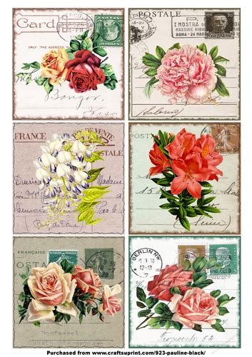 Vintage Floral Illustrations Postcards Cup880282923 Craftsuprint