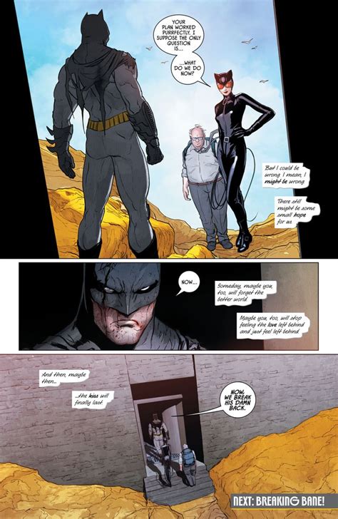 Pin By Toxicpunkette On Catwoman Worlds Of Fun Dark Knight Batman