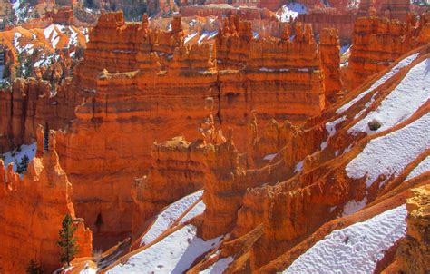 Wallpaper Snow Mountains Tree Rocks Utah Usa Bryce Canyon