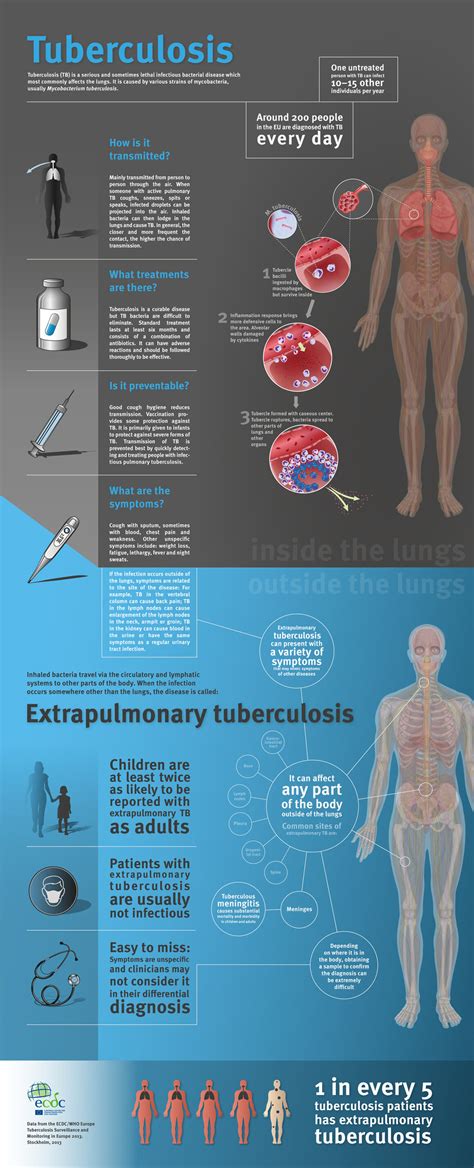 What Is Extrapulmonary Tb