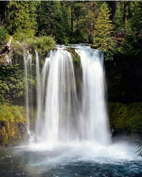 Pin By Debbie Mcnair On Waterfalls Waterfall Landscape Science And