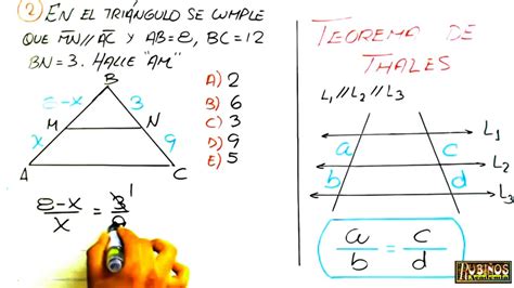 El Teorema De Thales Ejercicios Resueltos Nivel 1 Paso A Paso Youtube