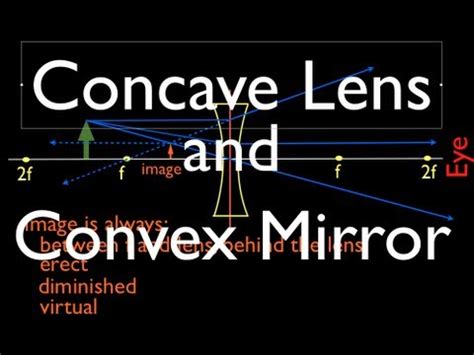 Like this post and comment below for other topics. Ray Diagrams: Concave Lens and Convex Mirror - YouTube