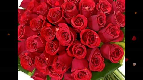 Iphone wallpapers iphone ringtones android wallpapers android ringtones cool backgrounds iphone backgrounds android backgrounds. Red Roses For You,Flowers For You,Beautiful Wallpapers,E ...
