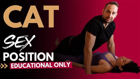 Cat Sex Position Educational Only Housepetscare Com