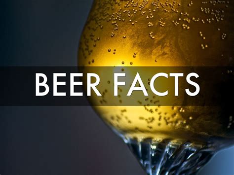 Beer Facts By Zeynepbigea2019