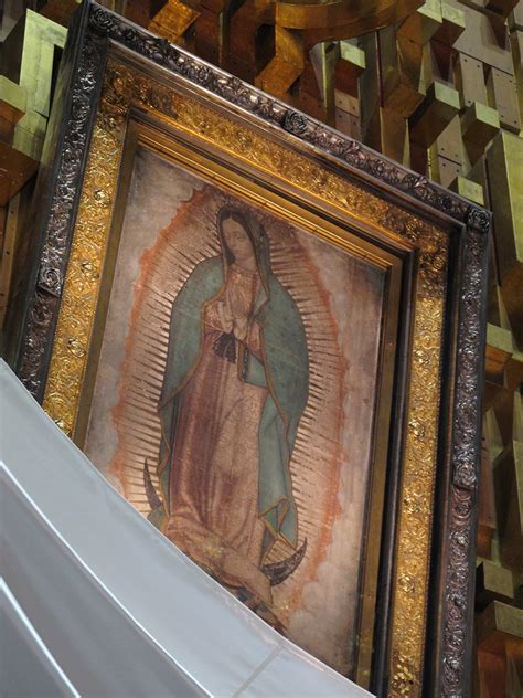 3,013 likes · 6 talking about this · 1,596 were here. Our Lady of Guadalupe : the miraculous tilma | This is the ...