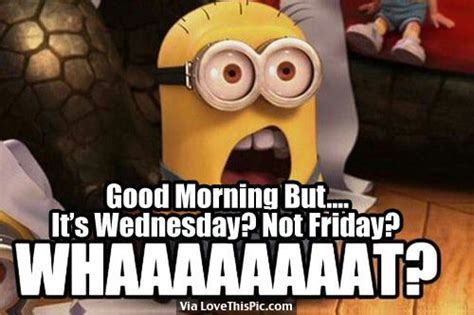 Good Morning But Its Wednesday Not Friday Whaaaaaat Wednesday