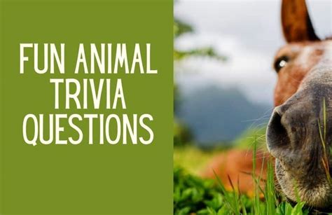 145 Fun Easy And Exciting Animal Trivia Questions Kids N Clicks