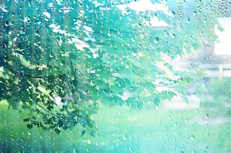Premium Photo Summer Rain Wet Glass Abstract Background Landscape