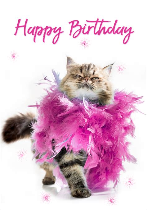 Happy Birthday Cat With Feather Boa Cards Only