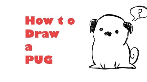 How To Draw A Pug Youtube
