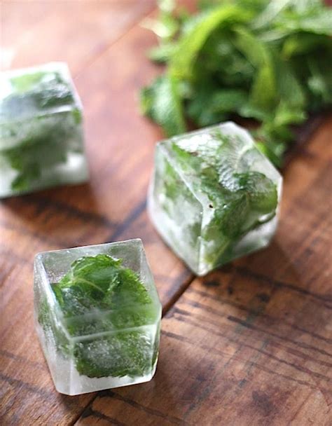 Make A Splash With These 12 Creative Ice Cubes To Spruce Up Your Drink