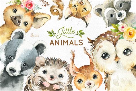 Woodland Little Watercolor Animals Graphic Objects ~ Creative Market