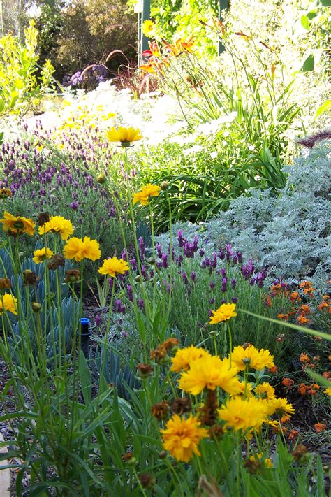 California's native flora is widely celebrated and renowned for its abundance and diversity which is largely due to our climate and varied geology, physiography and soils. California Native Plants
