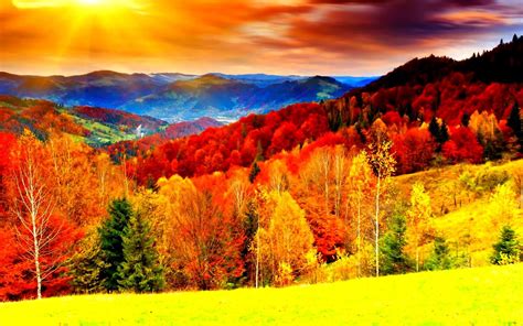 Colorful Nature Desktop Backgrounds