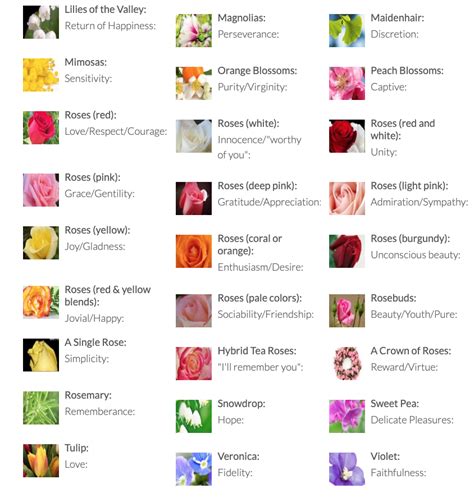 Meanings Of Flowers For Funerals Flowers Chj