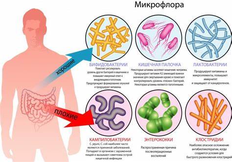 Диета при жкт и кишечника