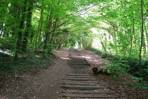 See The Best Woodland Walks Near Brighton 9 Trails Listed