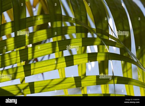 Florida key largo florida keys hi-res stock photography and images - Alamy