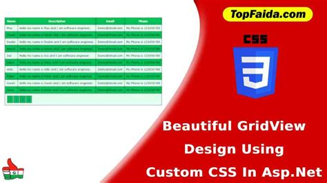 Beautiful GridView Design Using Custom CSS In Asp Net