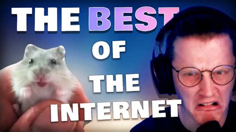BEST OF DAILY DOSE OF INTERNET 2020 Reaction YouTube