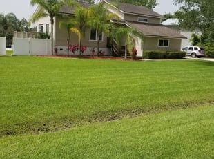 I had a big job of clearing neglected overgrowth. Jacksonville, FL Lawn Care Service | Lawn Mowing from $19 ...