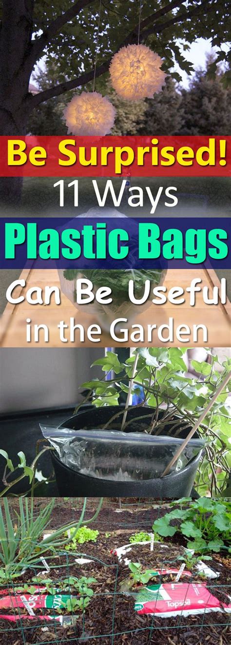 Be Surprised 11 Ways Plastic Bags Can Be Useful In The Garden