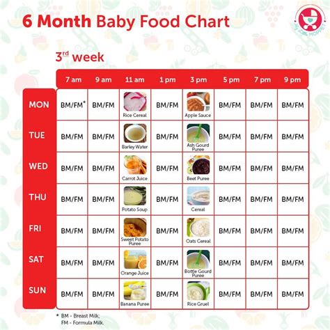 Feeding guide for the first year. 6 Months Food chart for Indian Babies | Baby food chart ...